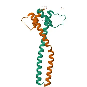 Anticorps Monoclonal Lapin Anti-TFE3 pour WB, IHC-P, ELISA - P19532