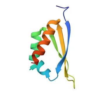 Anti-hnRNP E1/PCBP1 Rabbit Monoclonal Antibody for WB, ELISA - Q15365