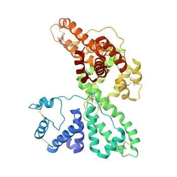 Anticorpo Monoclonal de Coelho Anti-Proteína Ligadora de Vitamina D para WB, ELISA - P02774