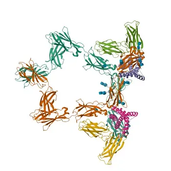 Anticorpo Monoclonal de Coelho Anti-IL-6 para WB e ELISA - P05231