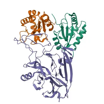 Anticorpo Monoclonal de Coelho Anti-AGR2 para WB, IF/ICC, ELISA - O95994