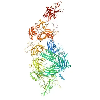 Anticorpo Monoclonal de Coelho para Disferlina para WB, IHC-P, ELISA - O75923