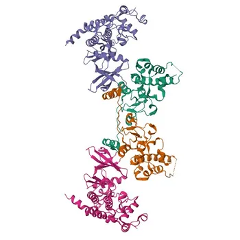 [KD Validated] Anti-Casein Kinase 2 alpha (CSNK2A1) Rabbit Monoclonal Antibody for WB, ELISA - P68400