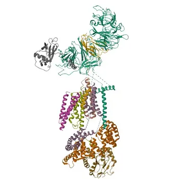 Anti-EMC4 Rabbit Monoclonal Antibody for WB, IHC-P, ELISA - Q5J8M3