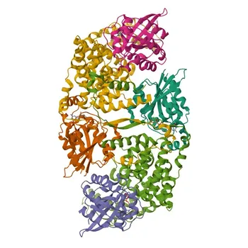Anti-IQGAP2 Monoclonal Antibody for WB - Q13576