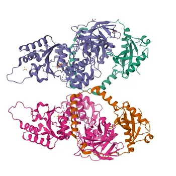 Anti-TUG/ASPSCR1 Rabbit Monoclonal Antibody for WB and ELISA - Q9BZE9