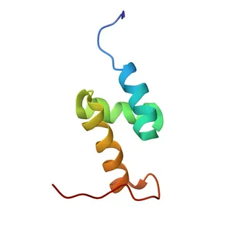 TSFM Rabbit Monoclonal Antibody for WB, IF/ICC, IP, ELISA - P43897