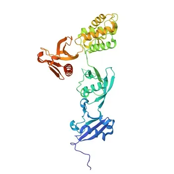 PE Rabbit anti-Mouse CD18 Monoclonal Antibody for FC - P11835