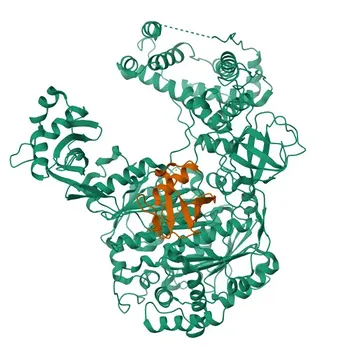 Anticorpo Monoclonal de Coelho Anti-UBA1 para WB, IF-P, IHC-P, ELISA - P22314