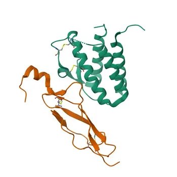 Rabbit anti-Human CD215/IL-15R alpha Monoclonal Antibody for FC - Q13261