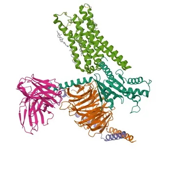 Anti-Histamine H3 Receptor (HRH3) Rabbit Monoclonal Antibody for WB, IP, ELISA - Q9Y5N1