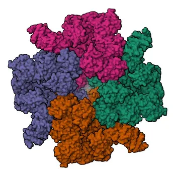 Anticorpo Monoclonal Coelho Anti-ITPR3 para WB, ELISA - Q14573