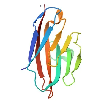 Anti-Human CEACAM6 Monoclonal Antibody (Conjugate) for Flow Cytometry - P40199