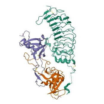 APC Rabbit anti-Human CD42b Monoclonal Antibody for FC - P07359