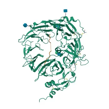 Гранулин Кроличий PolymAb® - P28799