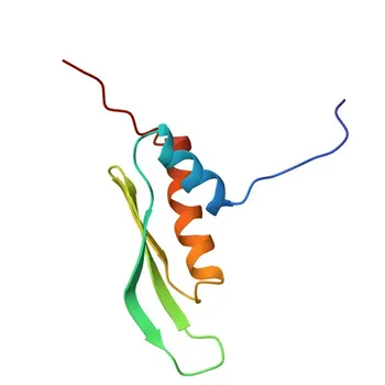 PRKRA/PACT Rabbit Monoclonal Antibody for WB, IHC-P, ELISA - O75569