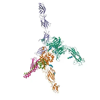 Anticorpo Monoclonal Coelho anti-Humano/Rato Integrina alfa 5 (ITGA5/CD49e) para Citometria de Fluxo - P08648