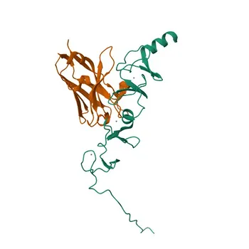 Anti-LMO2 Monoclonal Antibody for WB, ELISA - P25791