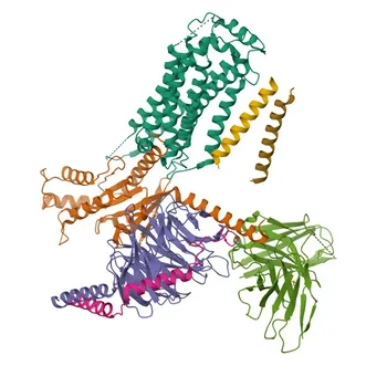 Anticorpo Monoclonal Coelho anti-Humano/Macaco CD69 para Citometria de Fluxo - Q07108