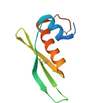 Anti-ILF3 Rabbit Monoclonal Antibody for WB, IHC-P, ELISA - Q12906