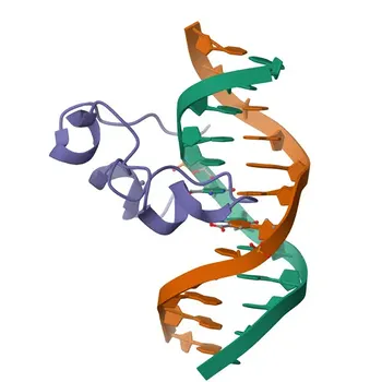 TET3 Rabbit Monoclonal Antibody for WB and ELISA - Q8BG87