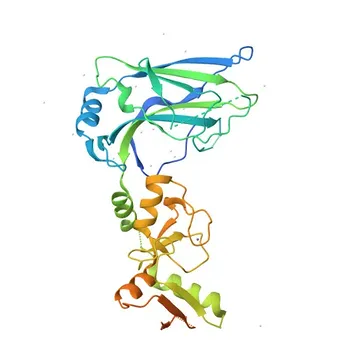 PIAS2 Rabbit Monoclonal Antibody for WB, ELISA - O75928