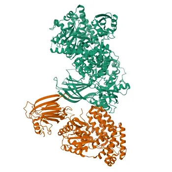 Anti-PI3K-gamma Rabbit Monoclonal Antibody for WB and ELISA - P48736