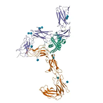 PE Rabbit anti-Human LIFR/CD118 Monoclonal Antibody for FC - P42702