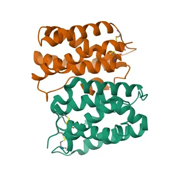 Anti-IL22 Monoclonal Antibody for WB, IF/ICC, ELISA - Q9GZX6
