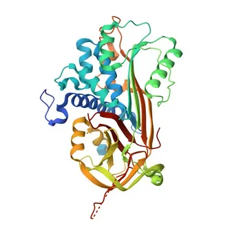 Anticorpo Monoclonal de Coelho Anti-PEDF/SERPINF1 para WB, ELISA - P36955