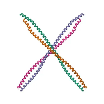 Anti-Cytokeratin 10 Monoclonal Antibody for IF-P, ELISA - P13645