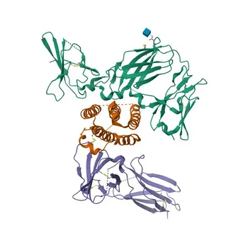 Anti-Human IFN-alpha/beta R2 Monoklonaler Antikörper für Durchflusszytometrie - P48551