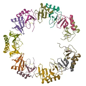 Anticorpo Monoclonal de Coelho Anti-CXCL1 para WB, ELISA - P12850