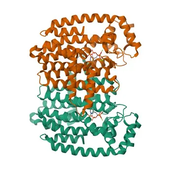 Anti-FPS/FDPS Monoclonal Antibody for WB, ELISA - P14324