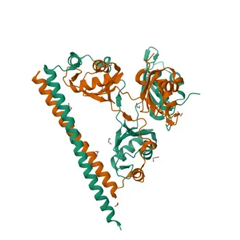 Anticorpo Policlonal de Coelho MonoMethyl-NONO/p54nrb (R357/R365) (Q15233) para WB, IF/ICC, ELISA