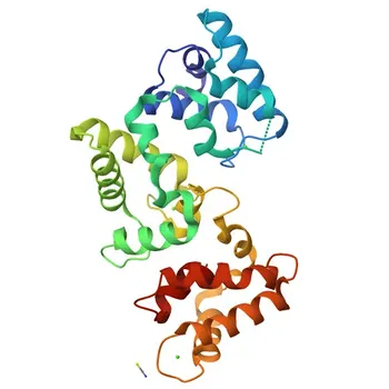 Anticorpo Monoclonal de Coelho Anti-Calbindina para WB - P05937