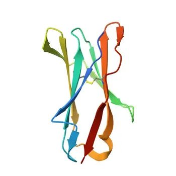 Anticorpo Monoclonal de Coelho Anti-CD305/LAIR1 para WB, FC, ELISA - Q6GTX8