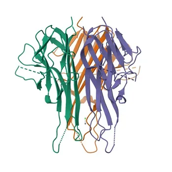 mAb de Coelho contra TRAIL/TNFSF10 - P50591
