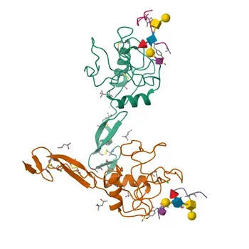 Rabbit anti-Human CD162/PSGL-1 mAb for FC - Q14242
