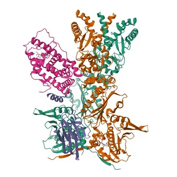 P23/PTGES3 Rabbit mAb for WB, IF/ICC, ELISA - Q15185