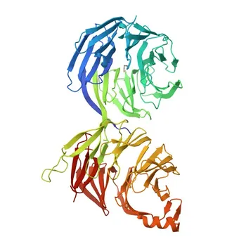 [KD Validated] COPB2 Rabbit PolymAb® - P35606