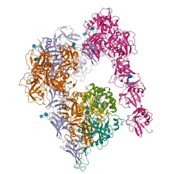 Anticorpo Monoclonal de Coelho Anti-Haptoglobina (HP) para WB, IF-P, IHC-P, ELISA - P00738
