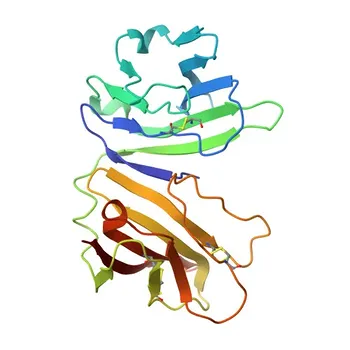Anticorpo Monoclonal Coelho anti-Camundongo CD226/DNAM-1 para FC - Q8K4F0
