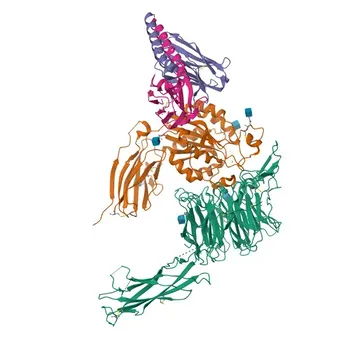 Anticorpo Monoclonal de Coelho Anti-Integrina alfa-6/ITGA6 para WB, IF-P, IHC-P, ELISA - P23229