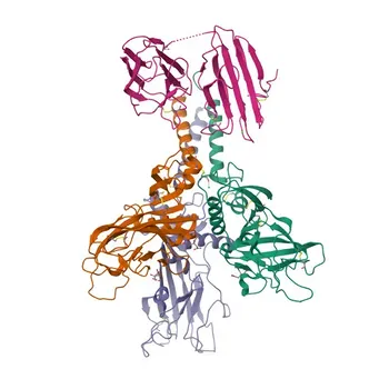 Anti-PCPE-1 Monoclonal Antibody for WB and ELISA - Q15113
