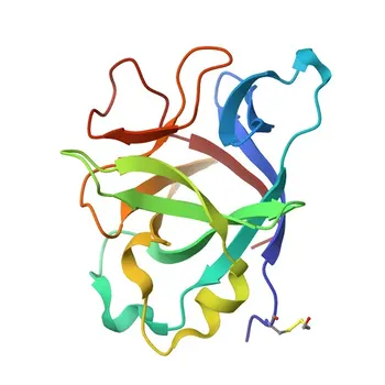 Anti-IL-36 Gamma Monoclonal Antibody for WB, IF/ICC, ELISA - Q9NZH8