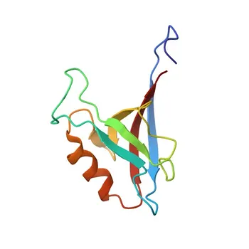 Anti-ZO-1 Rabbit Monoclonal Antibody for WB, IF/ICC, IF-F, IHC-P, ELISA - P39447