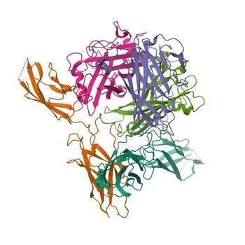 Anticorpo Monoclonal de Coelho Anti-Desmogleína 2 para WB, ELISA - Q14126