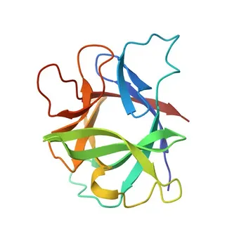 PE Rabbit anti-Mouse IL-1β Monoclonal Antibody for Flow Cytometry (Intracellular) - P10749