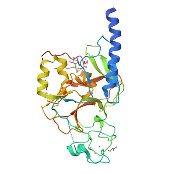 Anticorpo Monoclonal de Coelho Anti-KMT1B / SUV39H2 para WB, ELISA - Q9H5I1